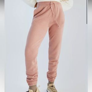 Aritzia Cozy Fleece Perfect Sweatpant